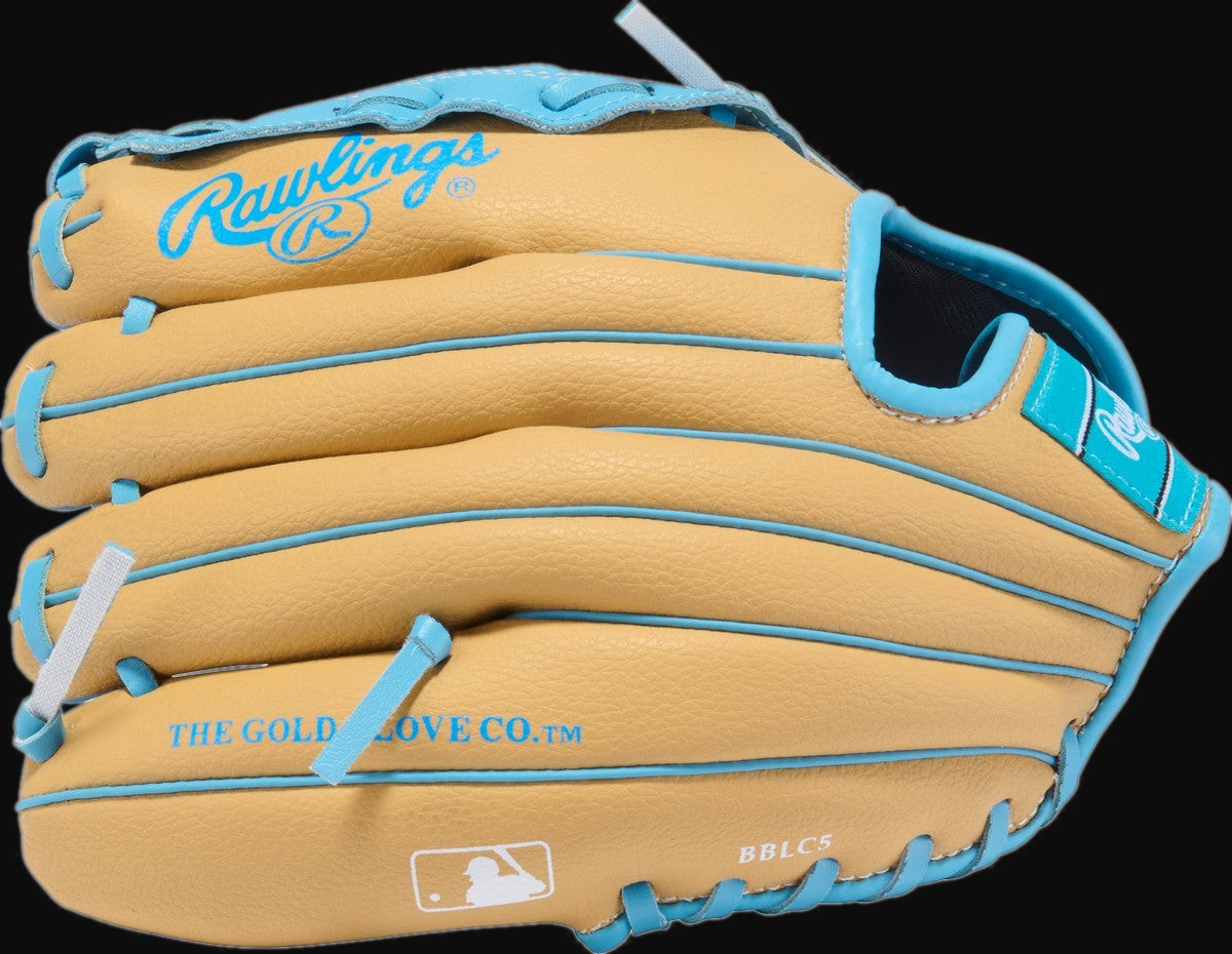 Rawlings Flex Palm Series FPX10C Model 10" Youth Baseball Glove [bgblk]