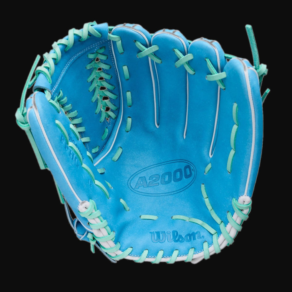 Wilson Spring 2026 A2000 FPHG Model 12" Fastpitch Pitcher's Glove [bgblk]
