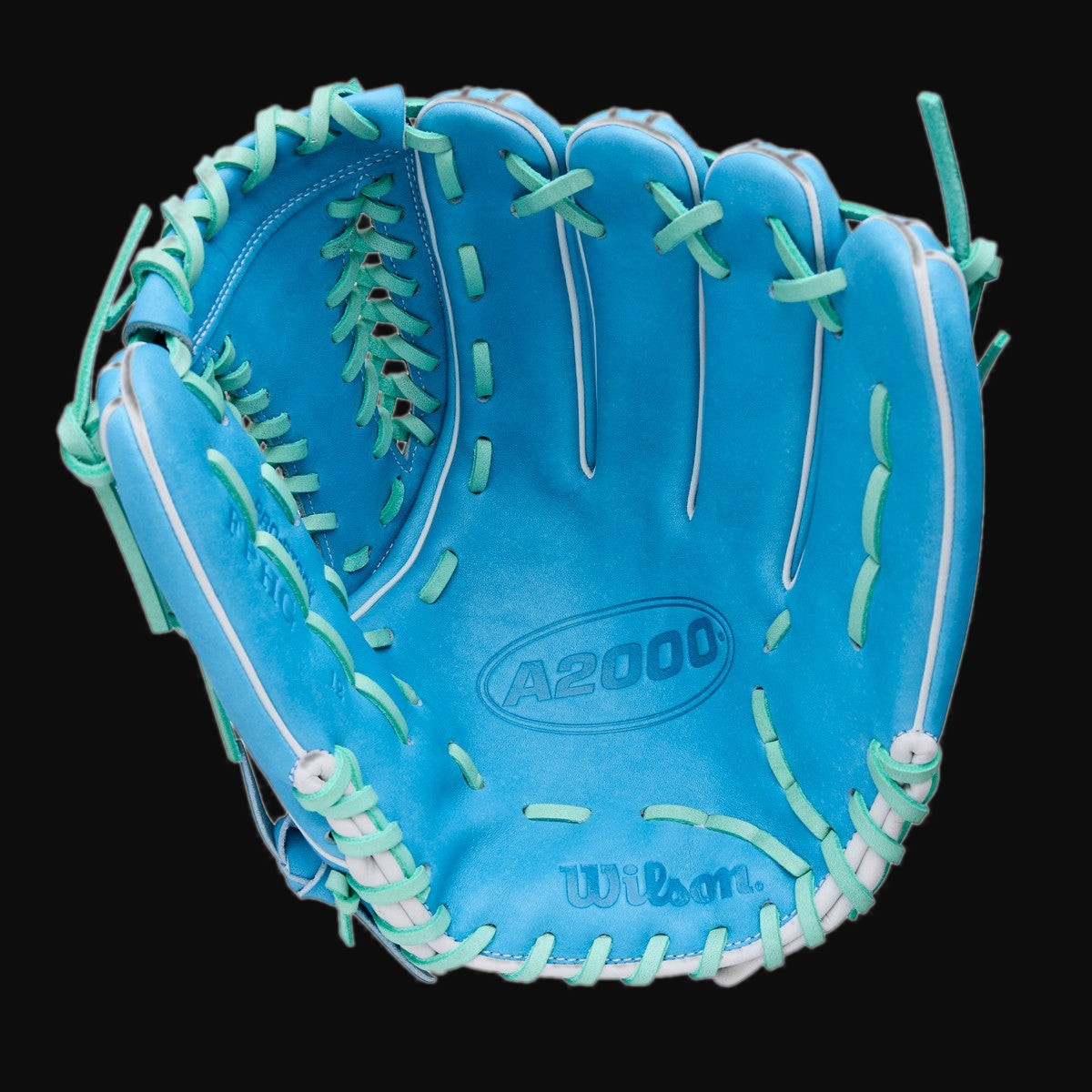 Wilson Spring 2026 A2000 FPHG Model 12" Fastpitch Pitcher's Glove [bgblk]