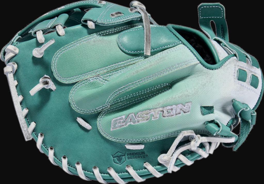 Easton ColorSplash 3.0 PCFPCM34CMSP Model 34" Fastpitch Catcher's Mitt [bgblk]